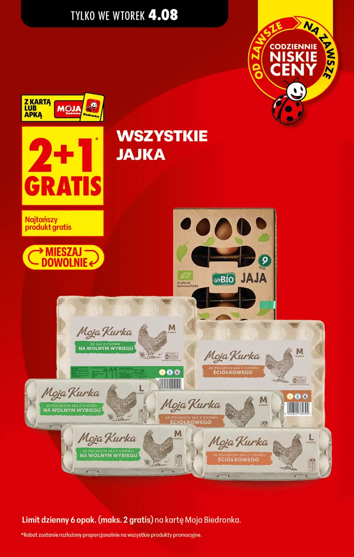 gazetka biedronka nowa