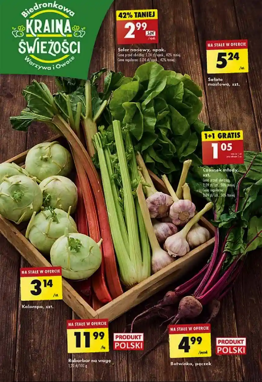 biedronka-promocje