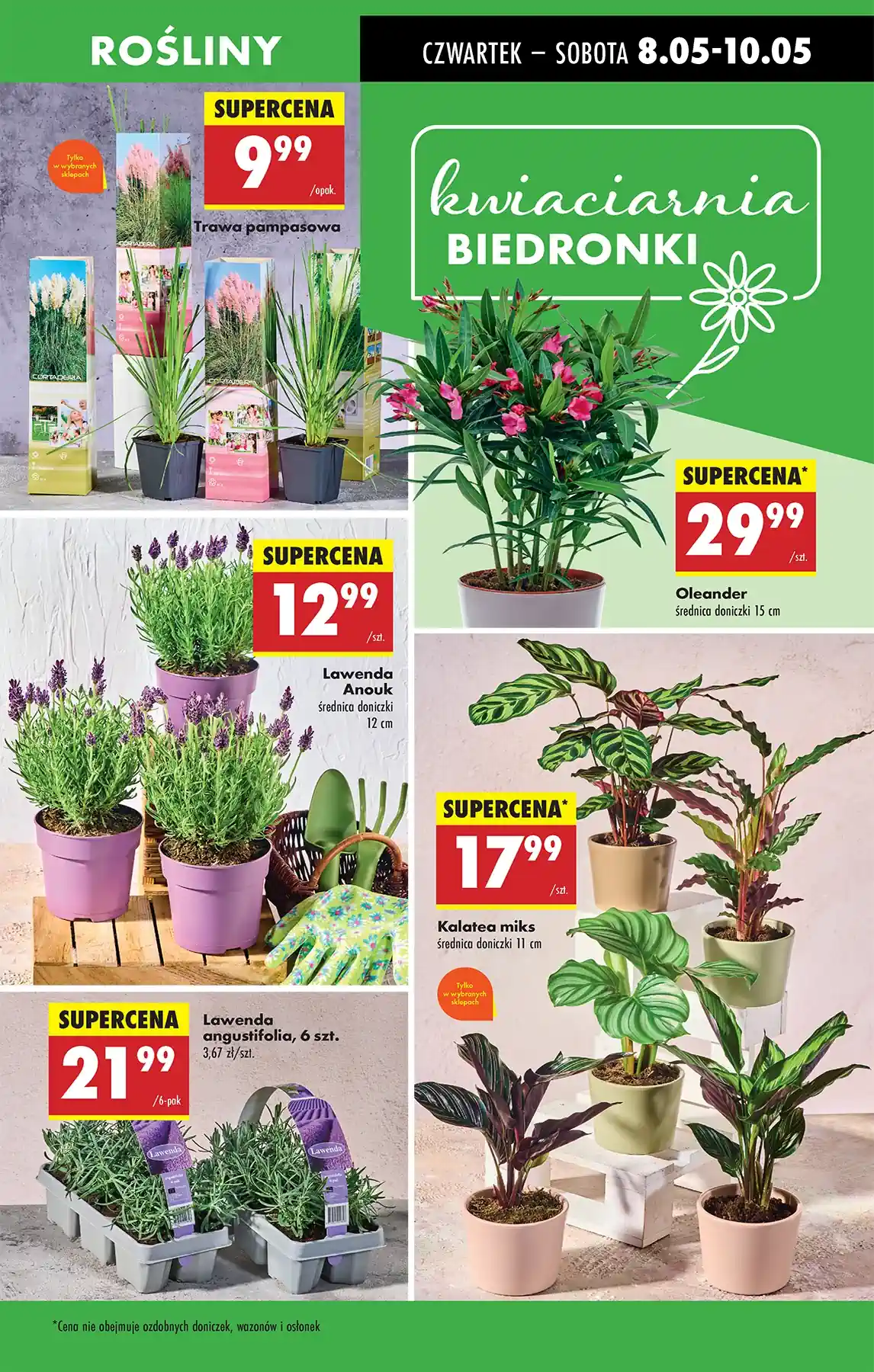 biedronka8525
