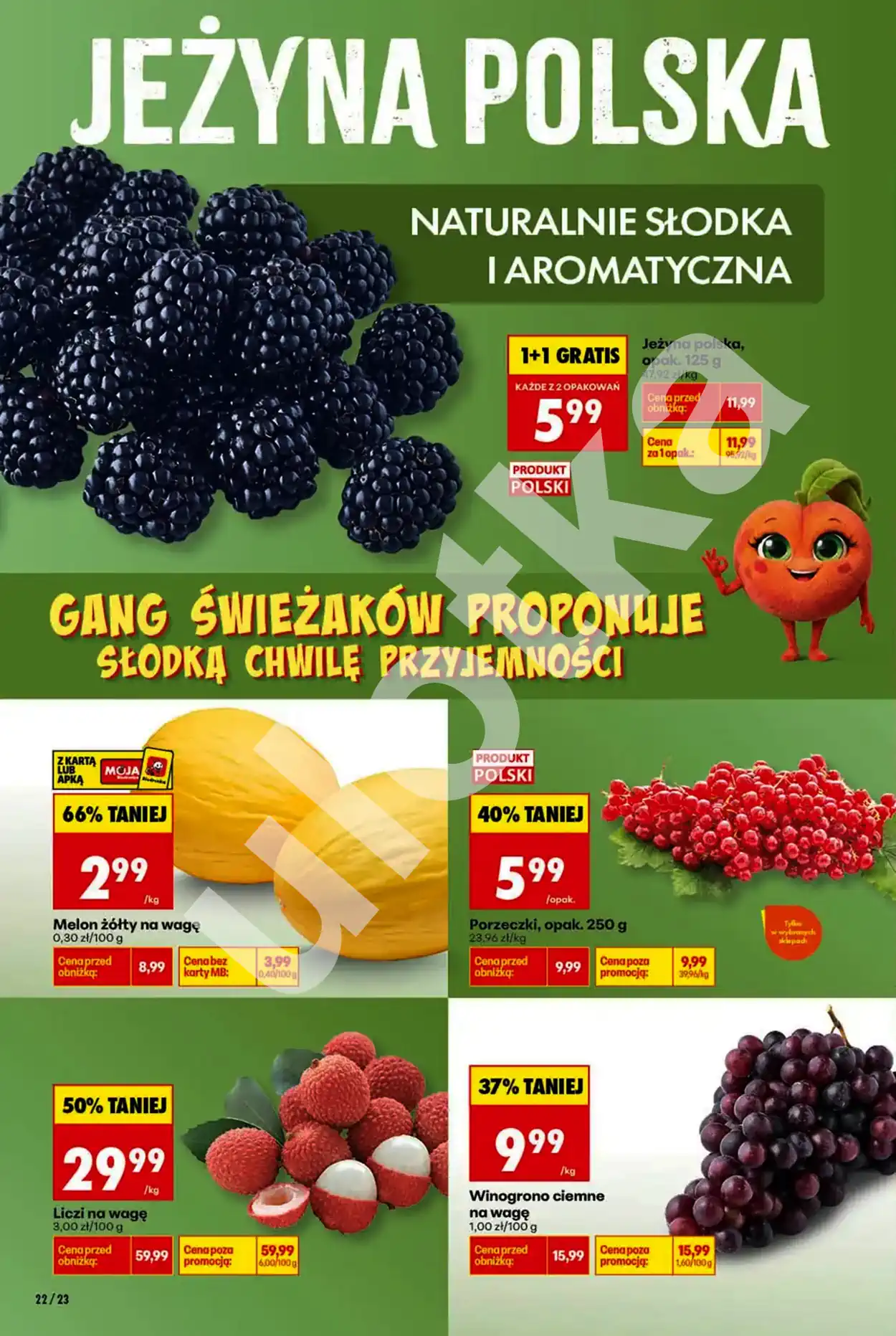 bied1