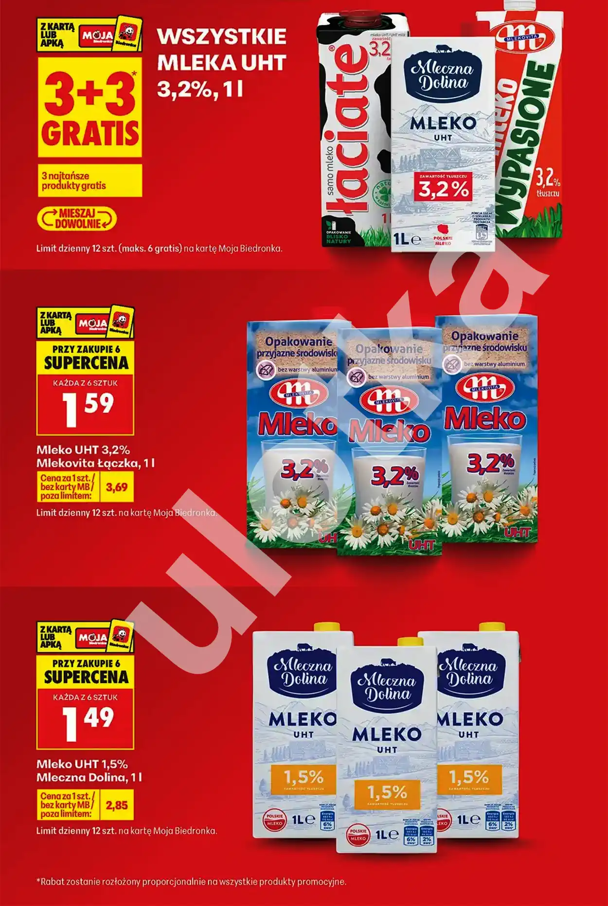 gazetka biedronka