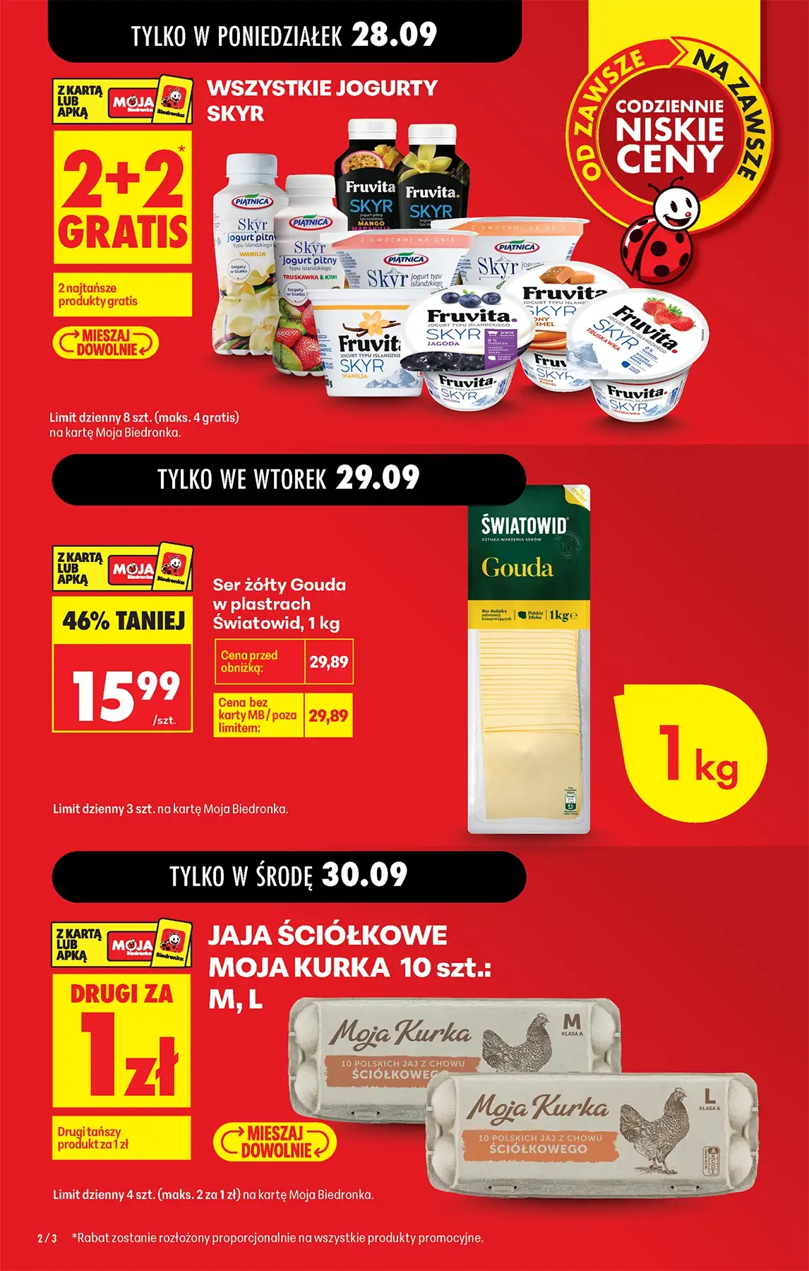 biedronka gazetka