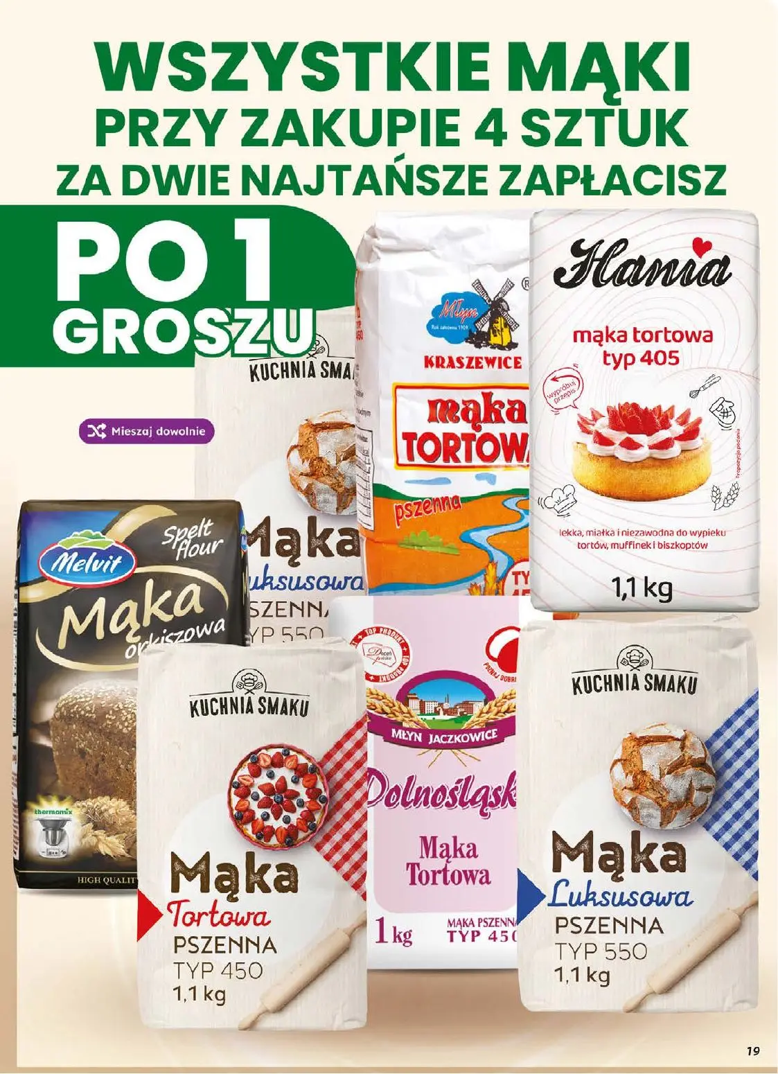 dino gazetka