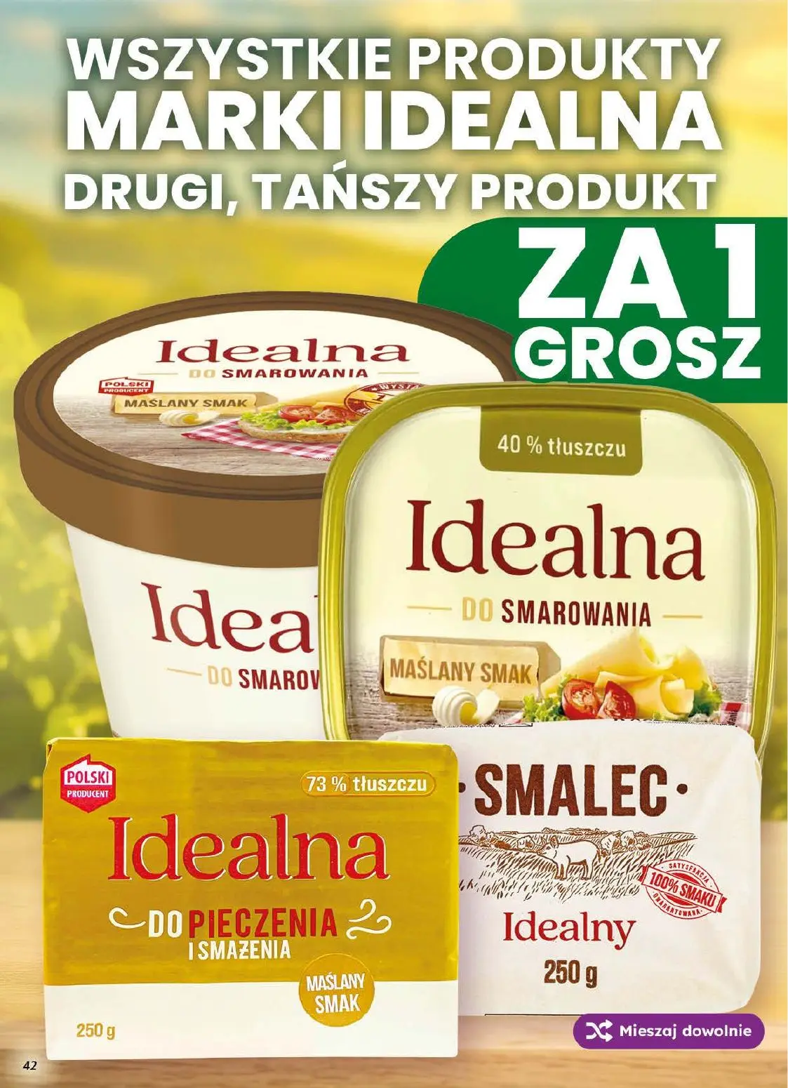 dino gazetka