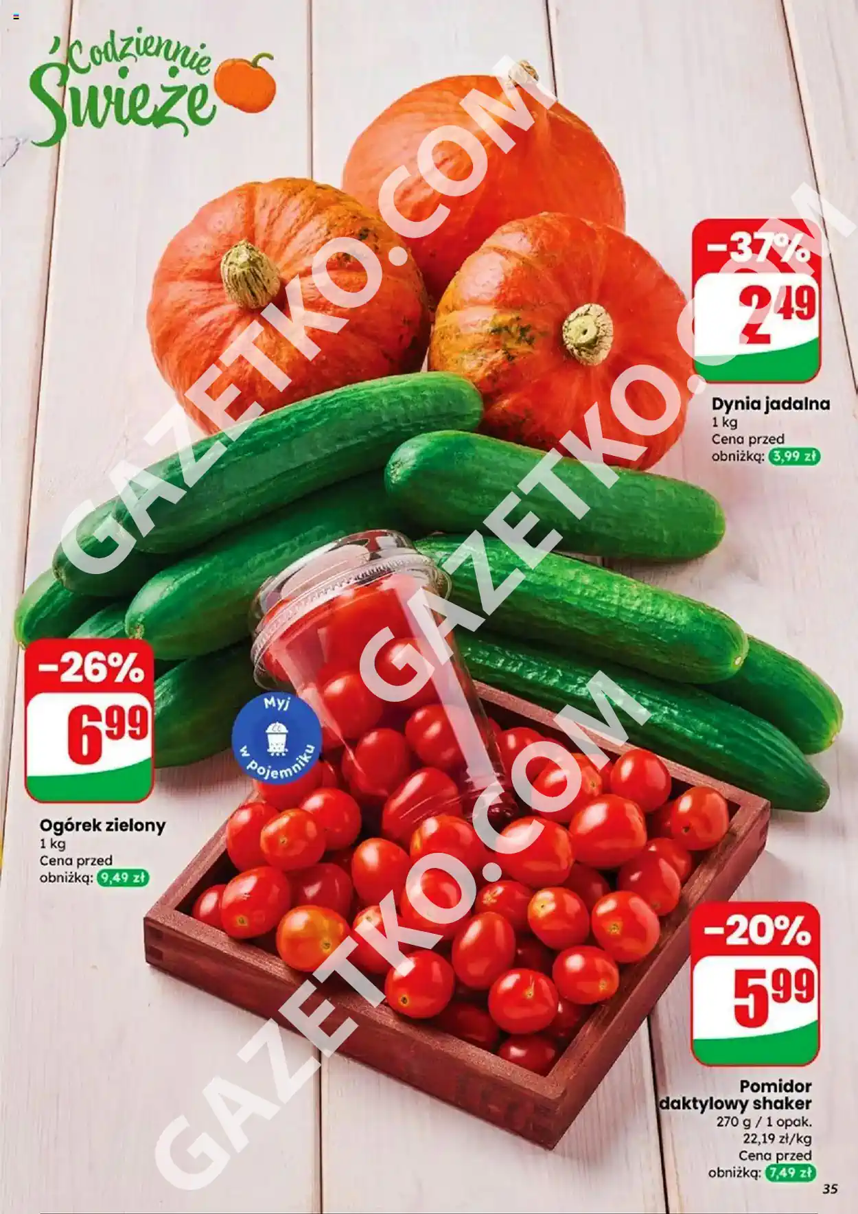 dino gazetka