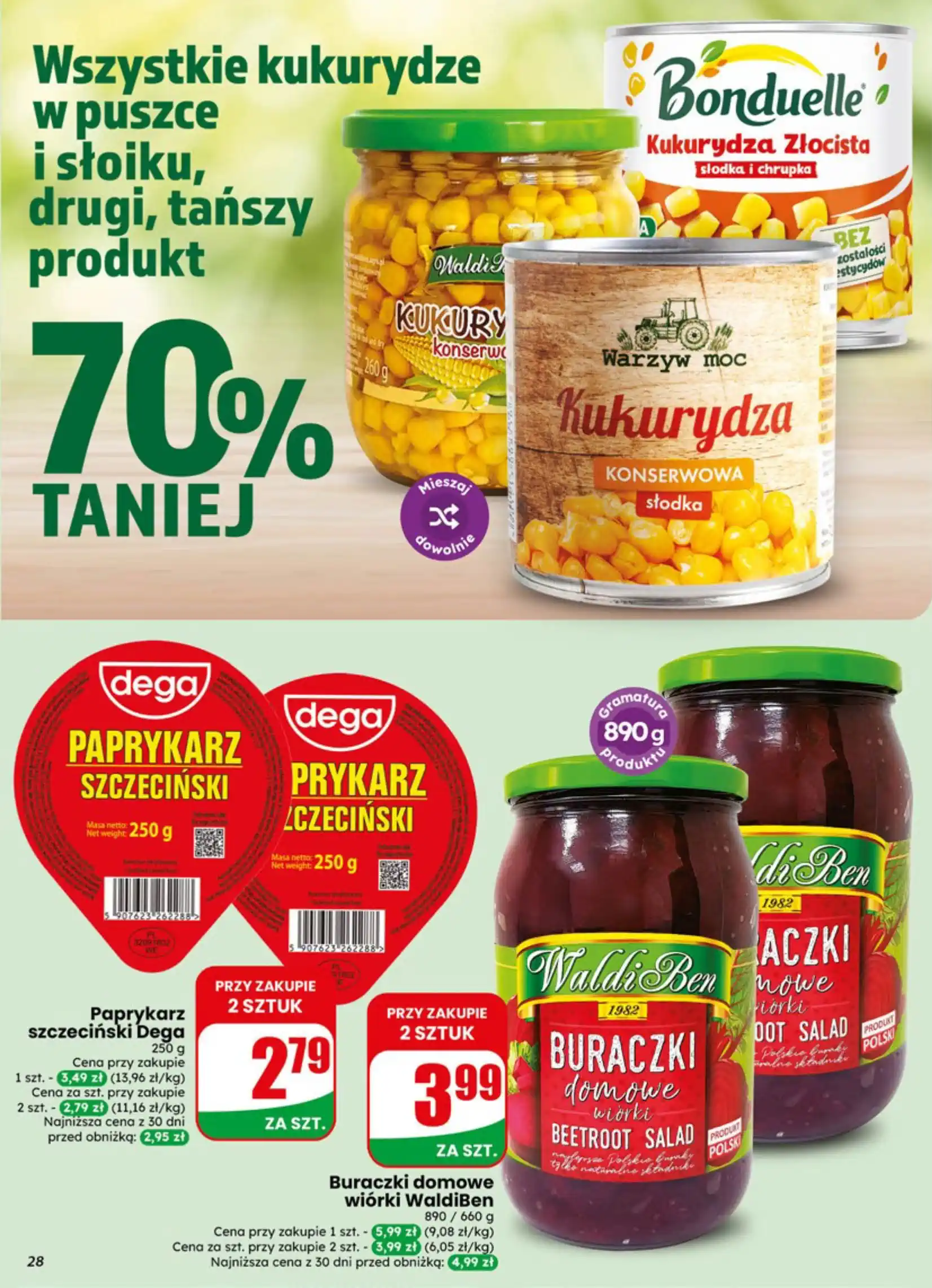 dino gazetka