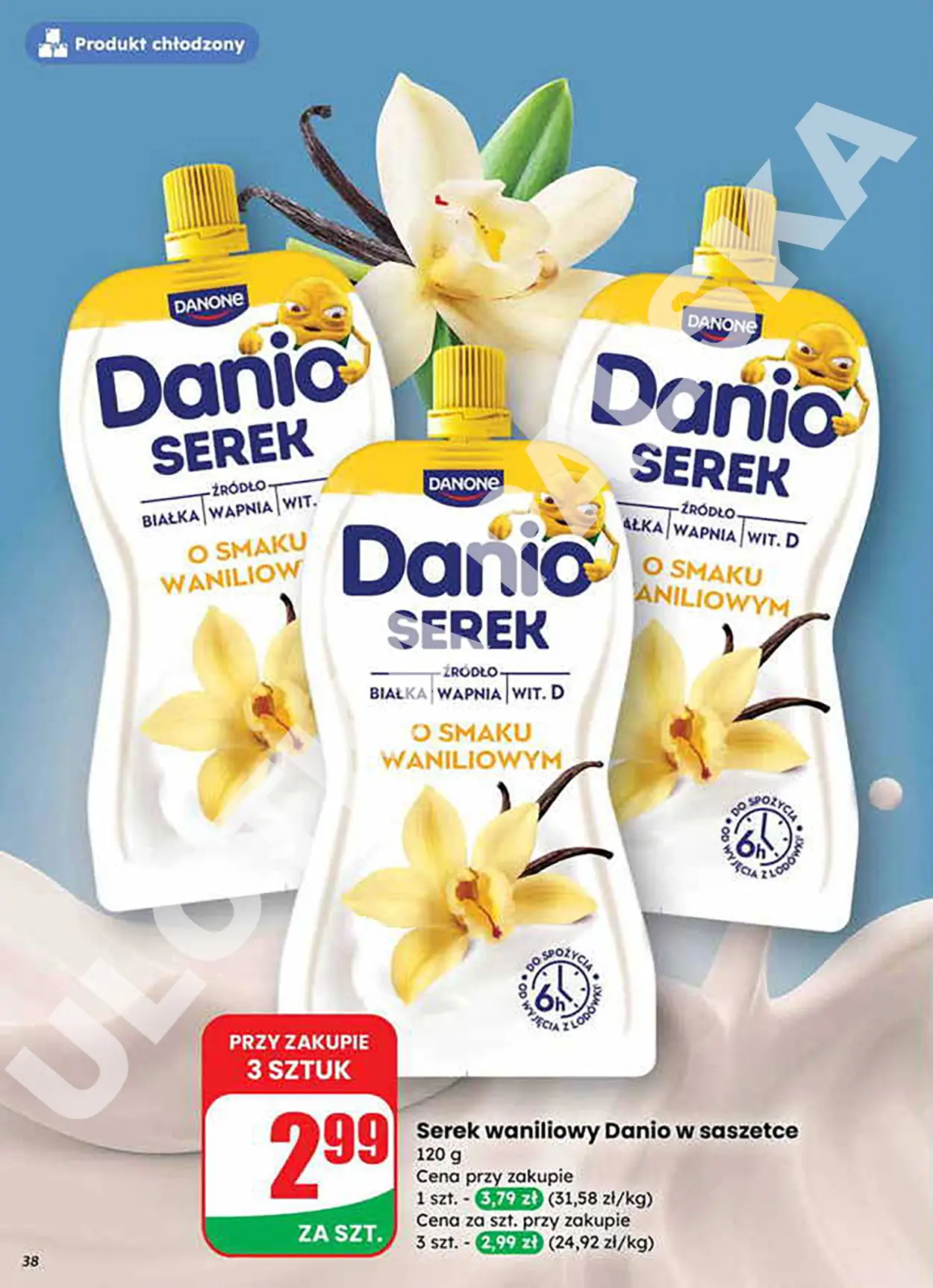 dino gazetka
