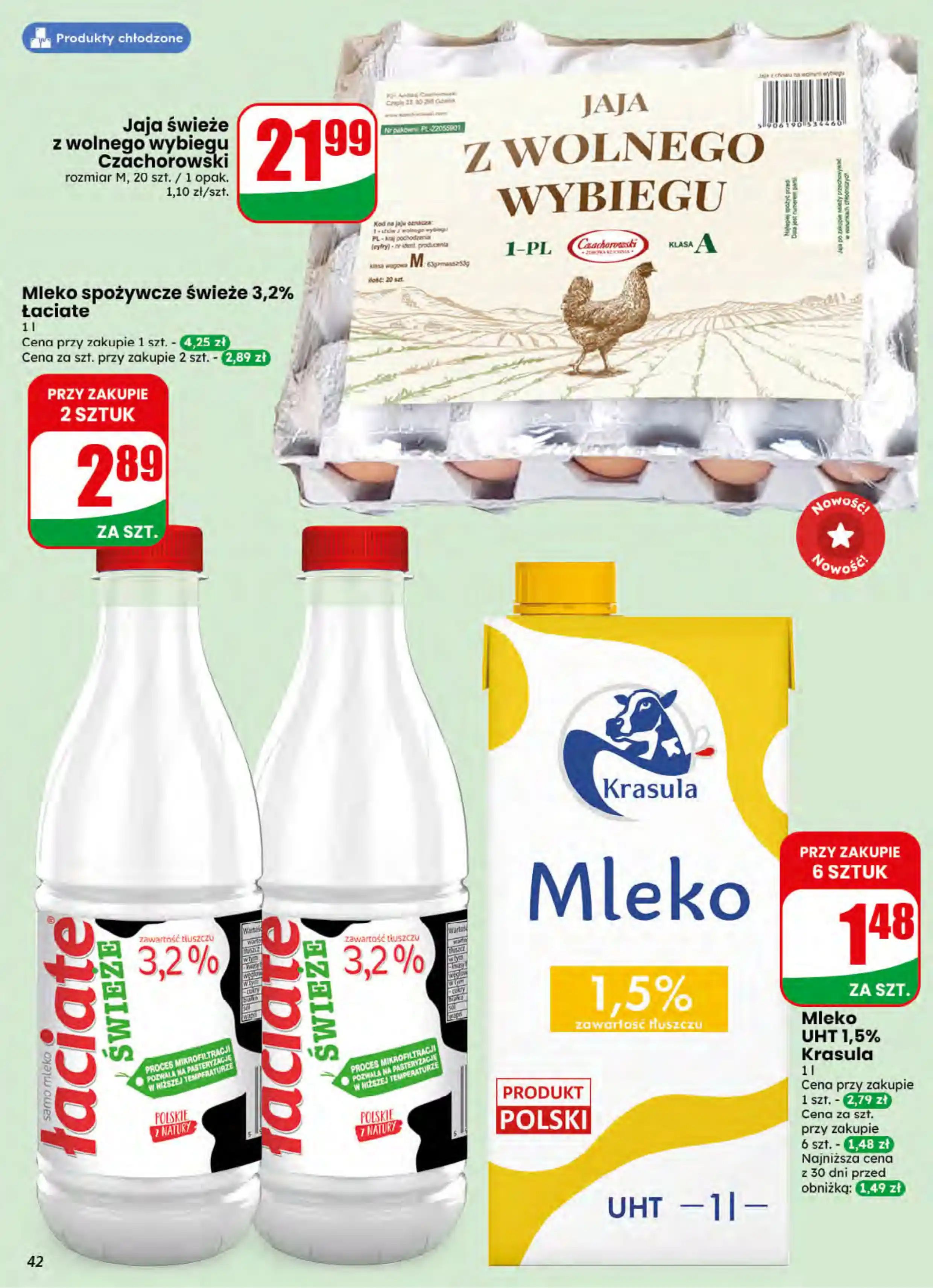dino gazetka
