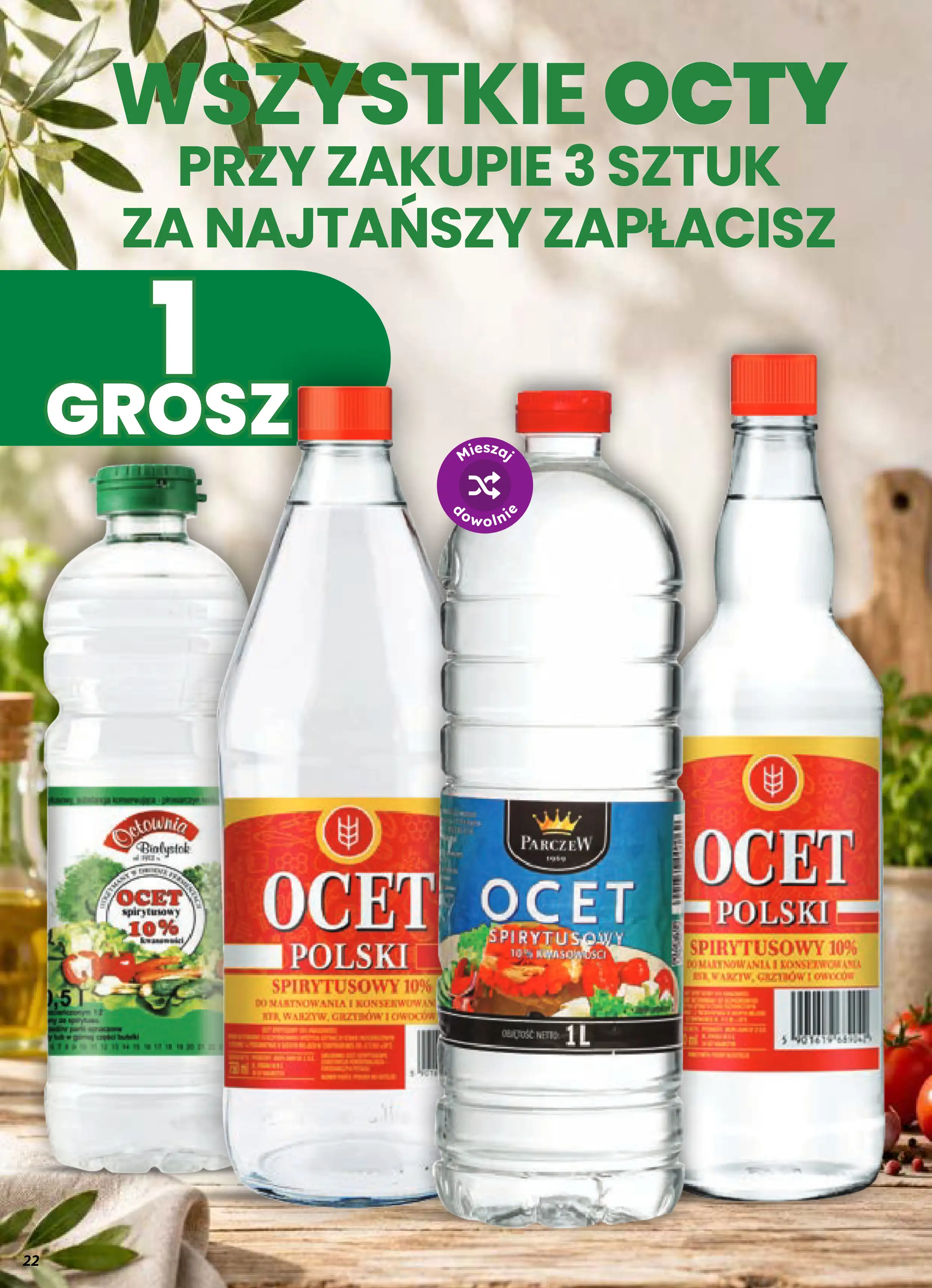 dino gazetka