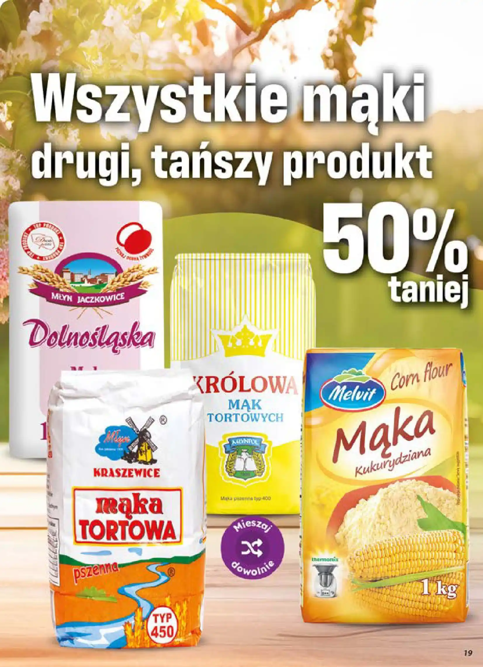 dino gazetka