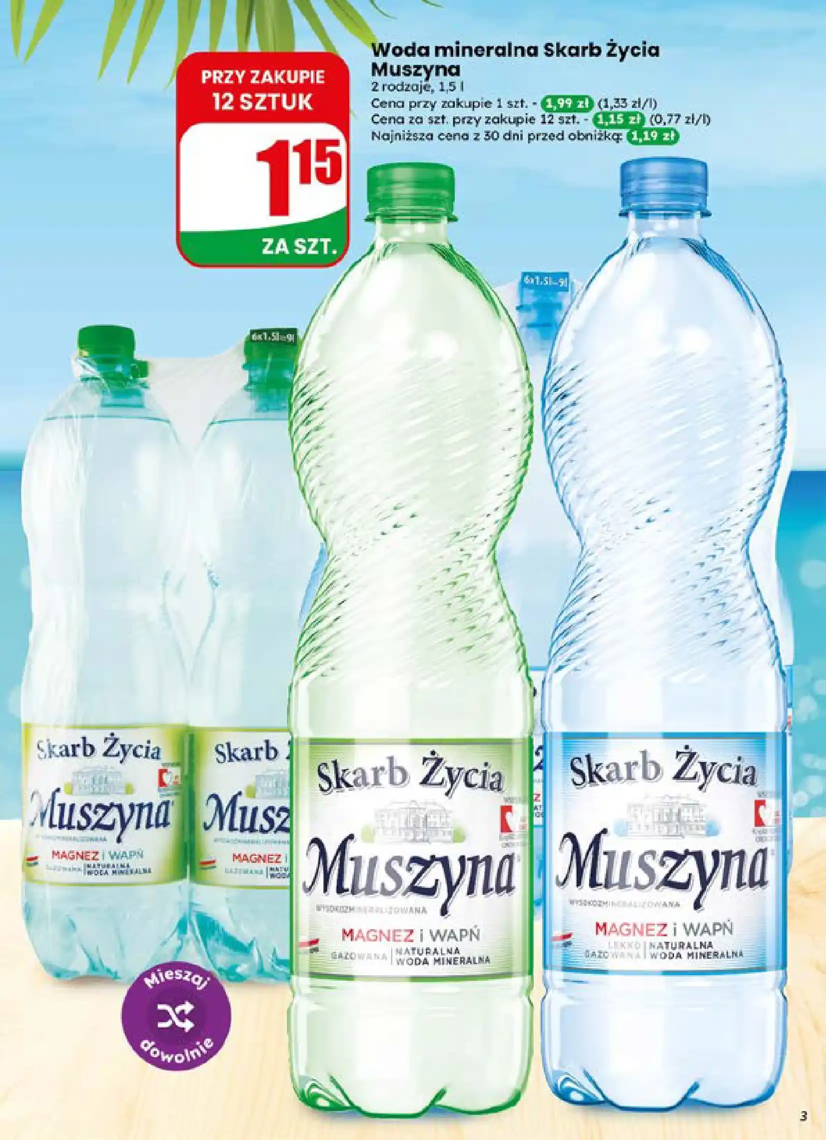 dino gazetka