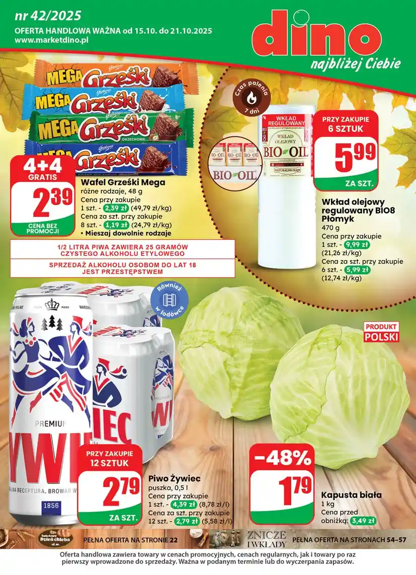 gazetka dino ważna od jutra 15.10.2025