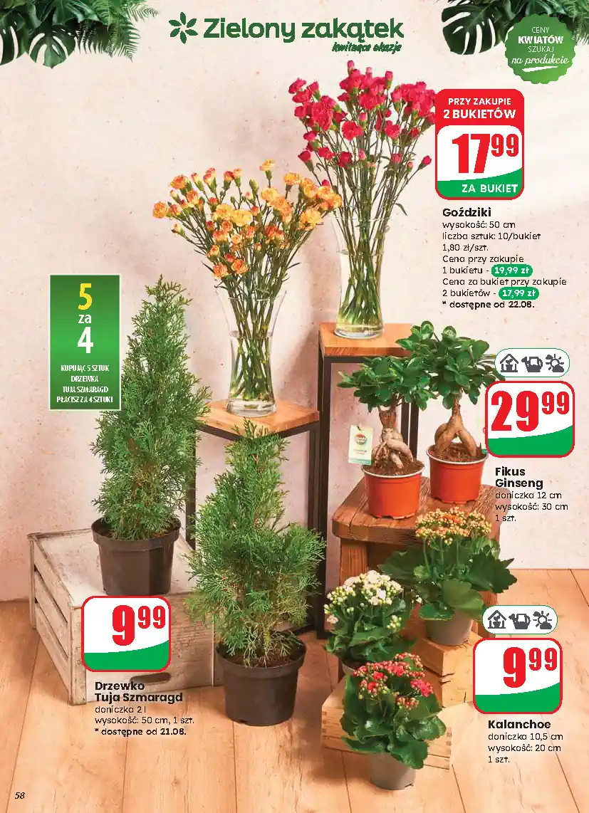 gazetka32
