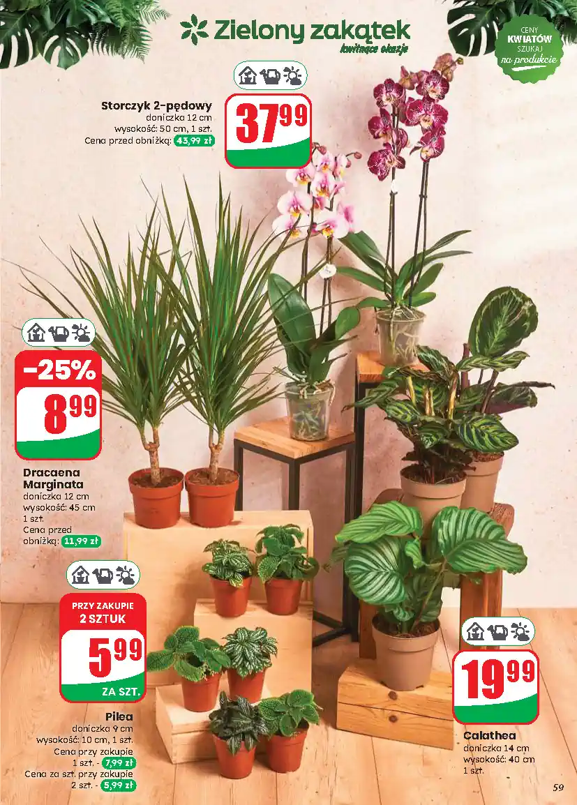 gazetka32
