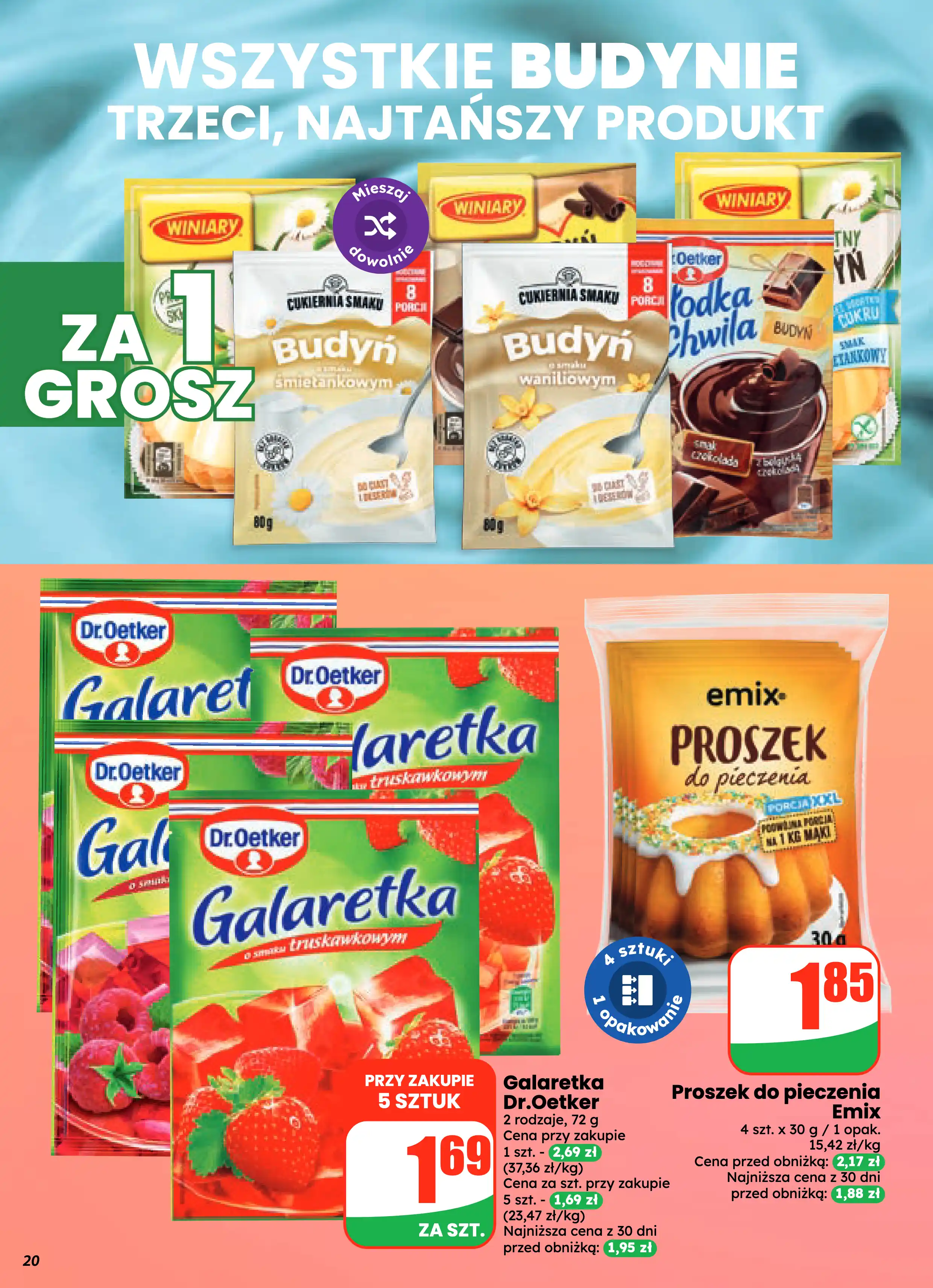 dino gazetka