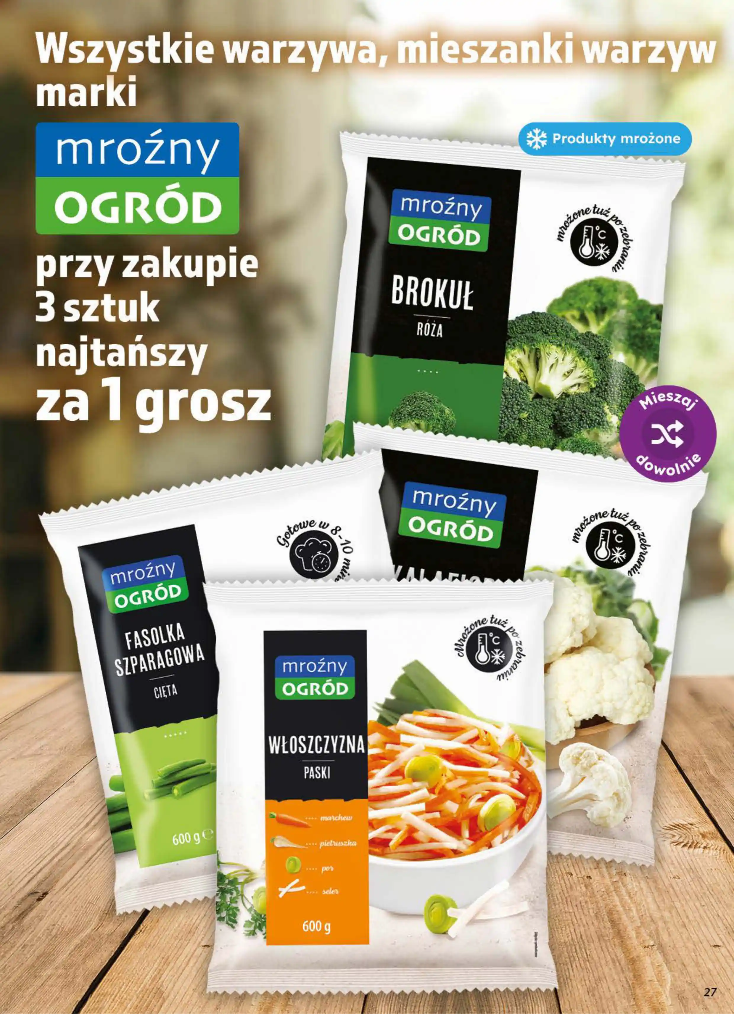 dino gazetka