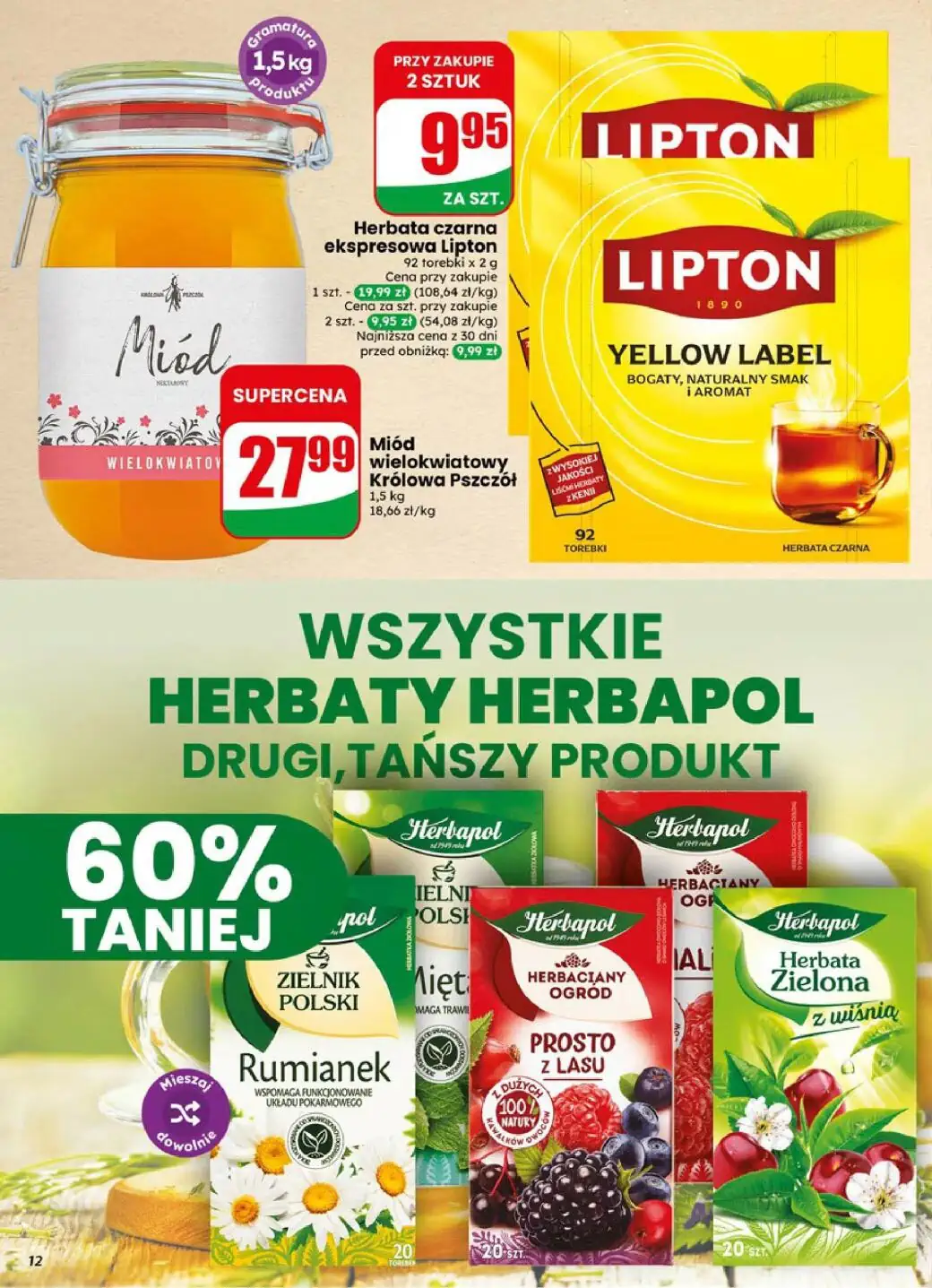 dino gazetka
