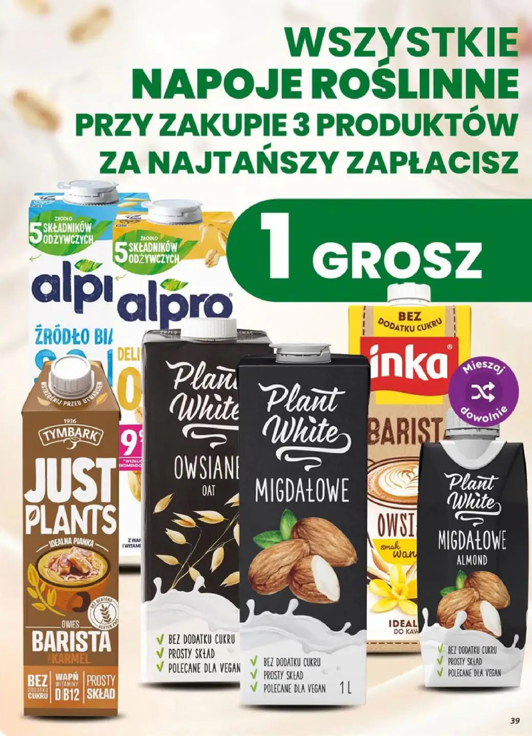dino gazetka