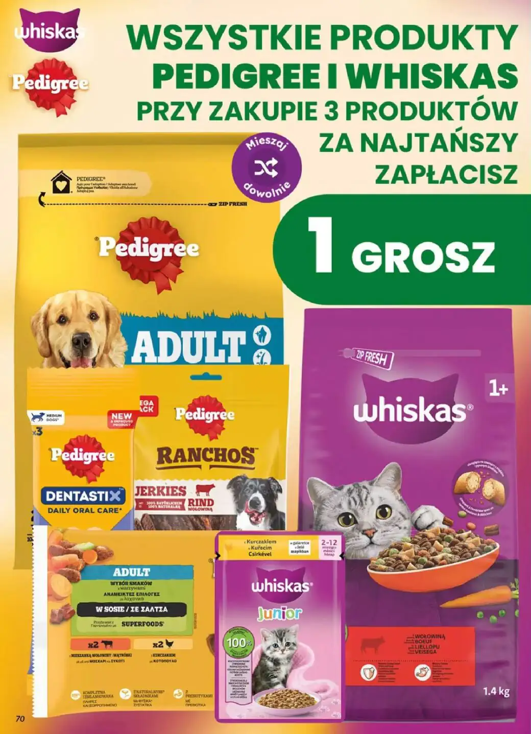 dino gazetka