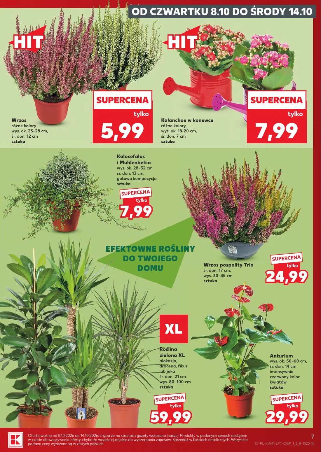 nadchodzącą gazetka kaufland
