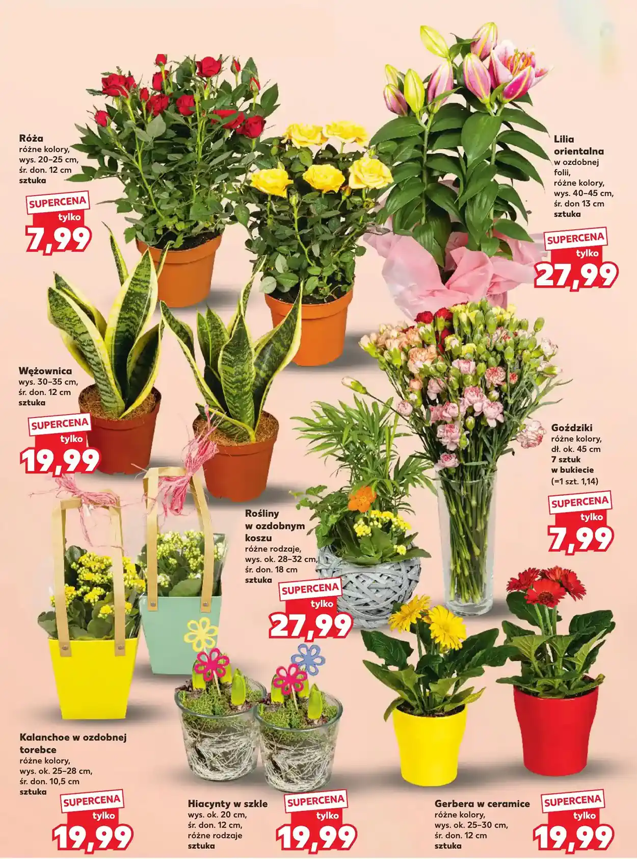 nadchodzącą gazetka kaufland