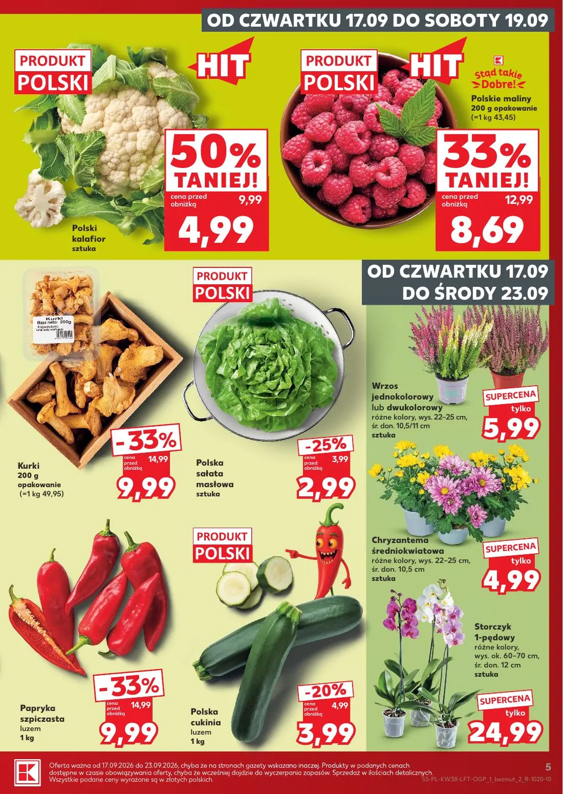 kaufland gazetka - od jutra pdf