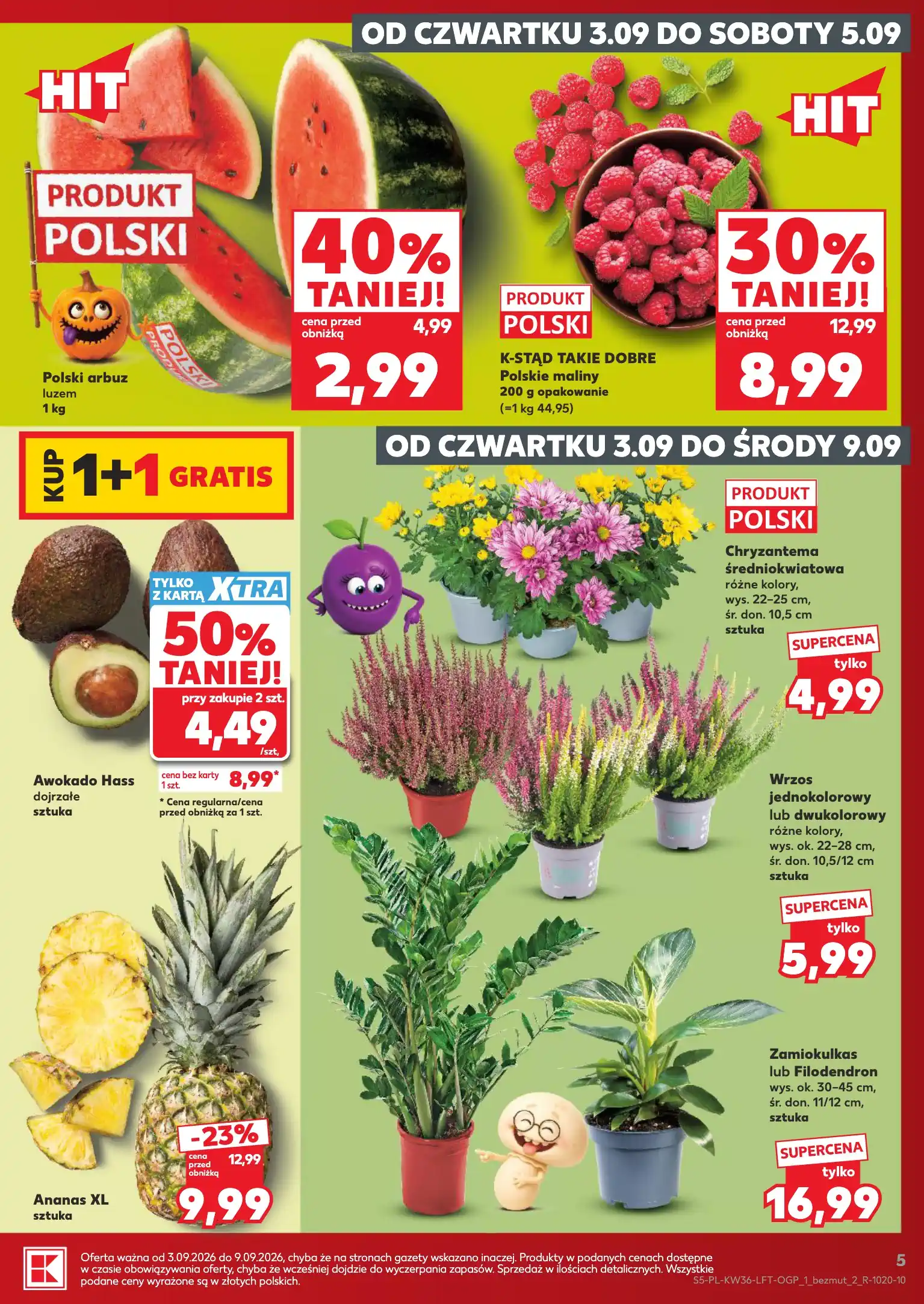 kaufland gazetka - od jutra pdf