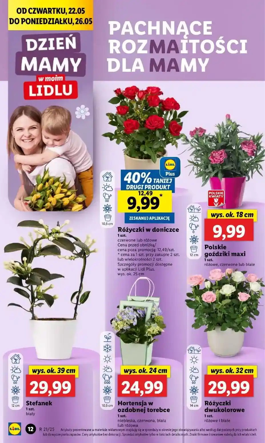 gazetka lidl
