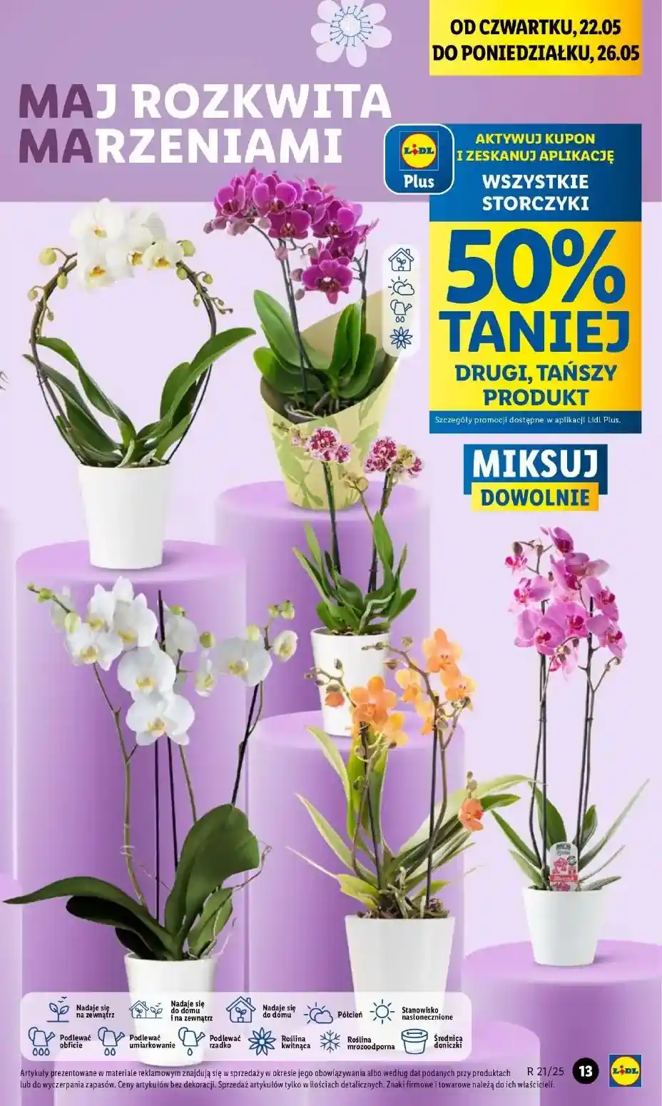 gazetka lidl