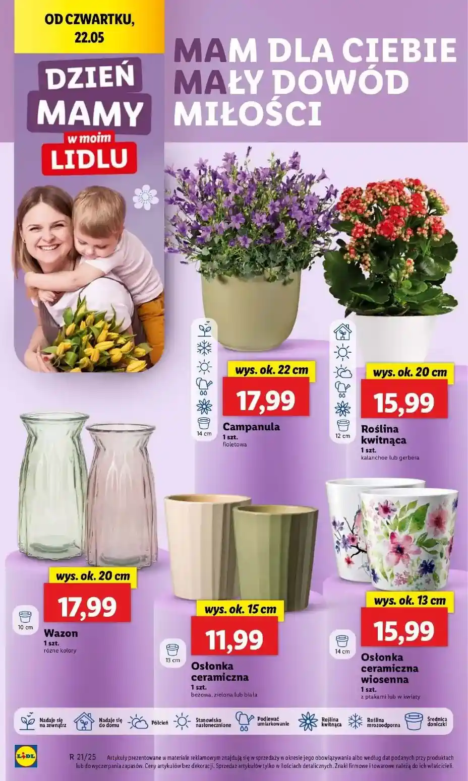 gazetka lidl