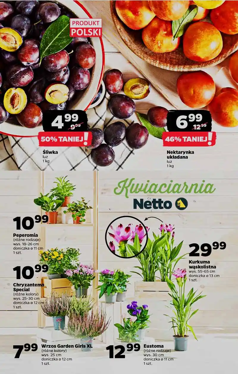 netto pl