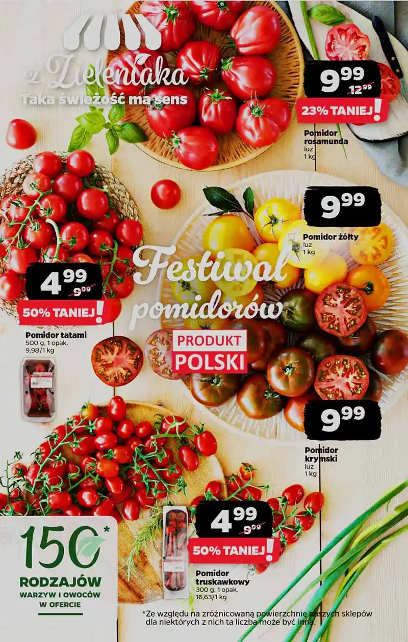 netto pl