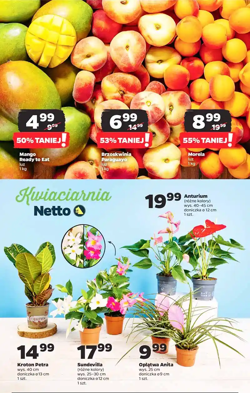 nowa gazetka