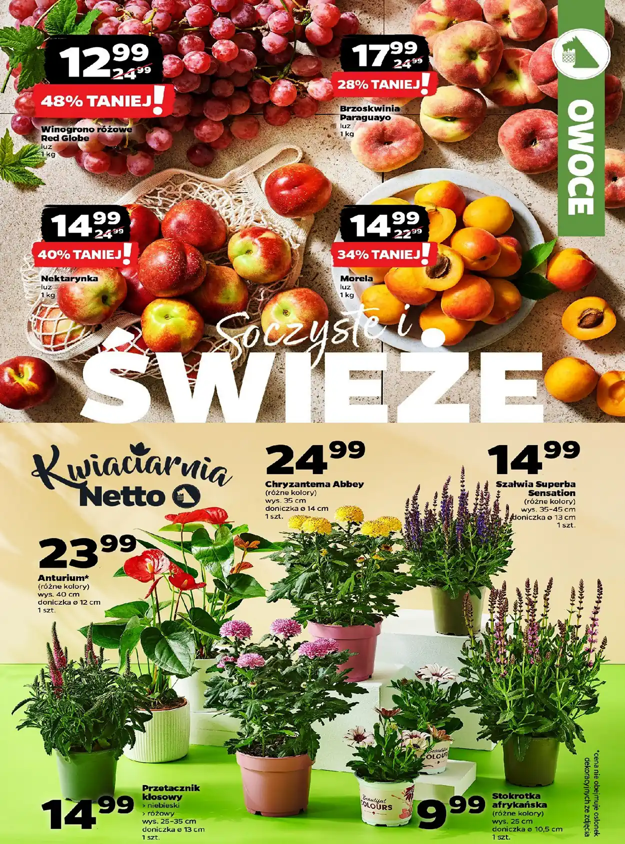 netto nowa
