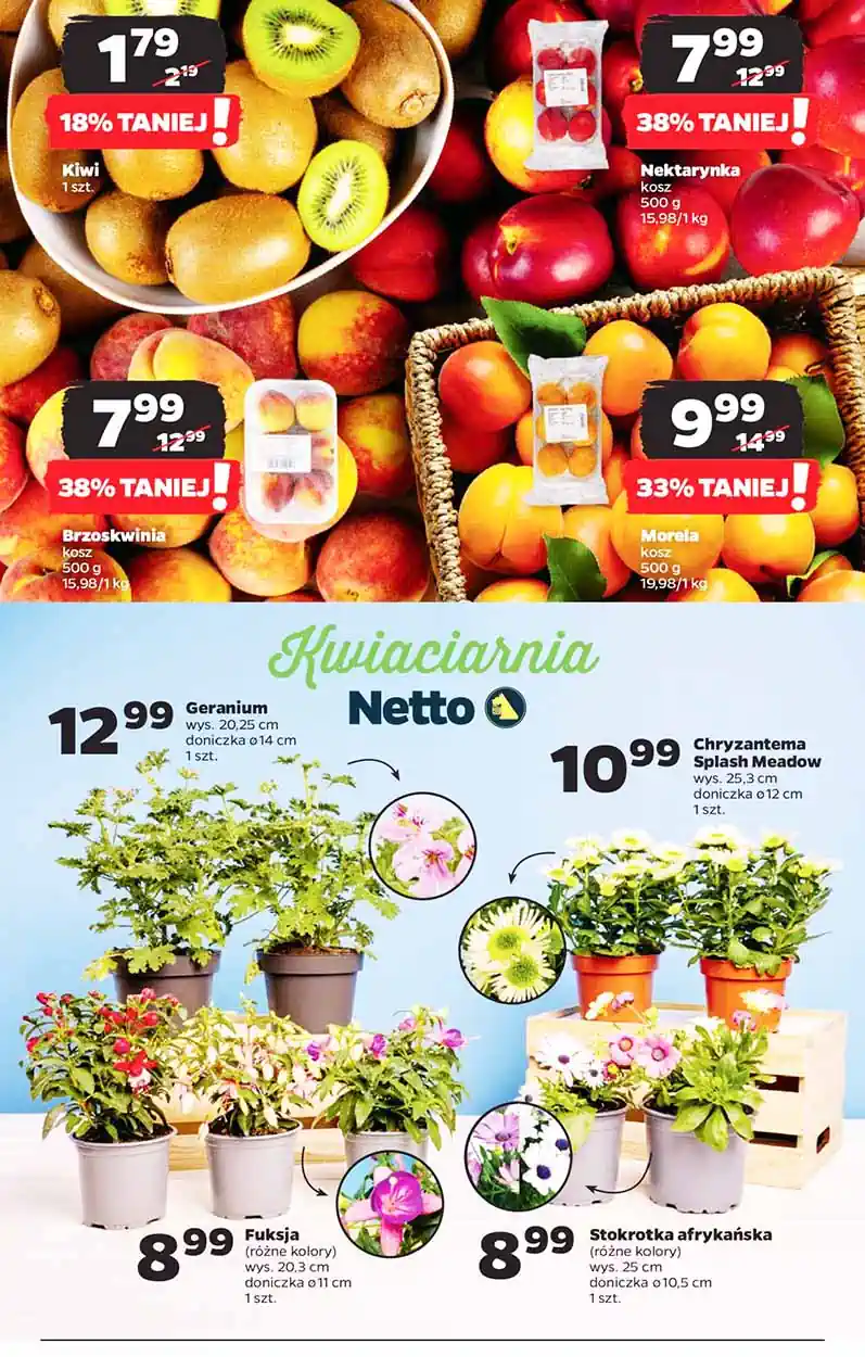 netto555