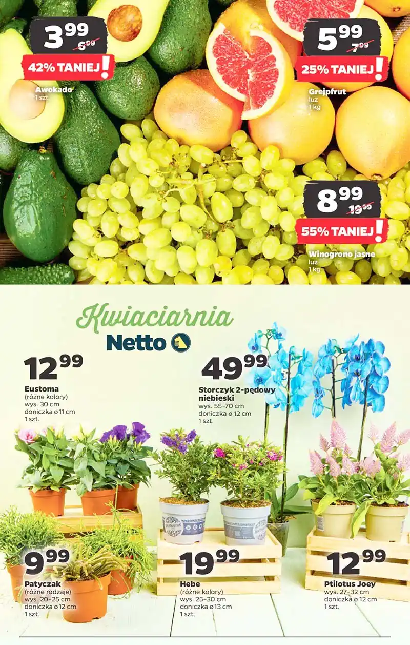 gazetka netto