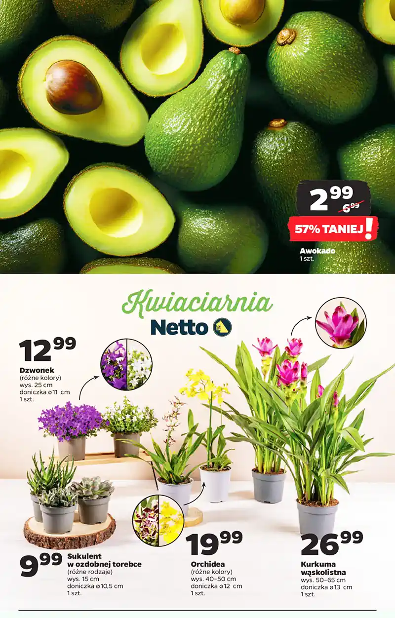 netto salle