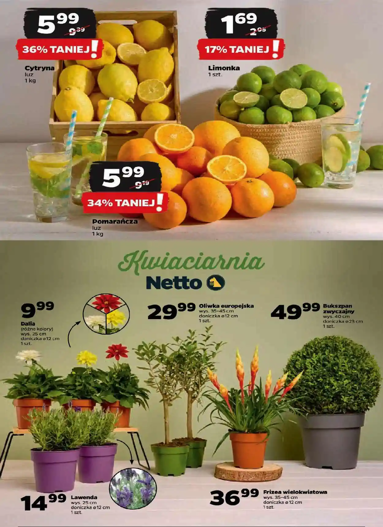 gazetka87