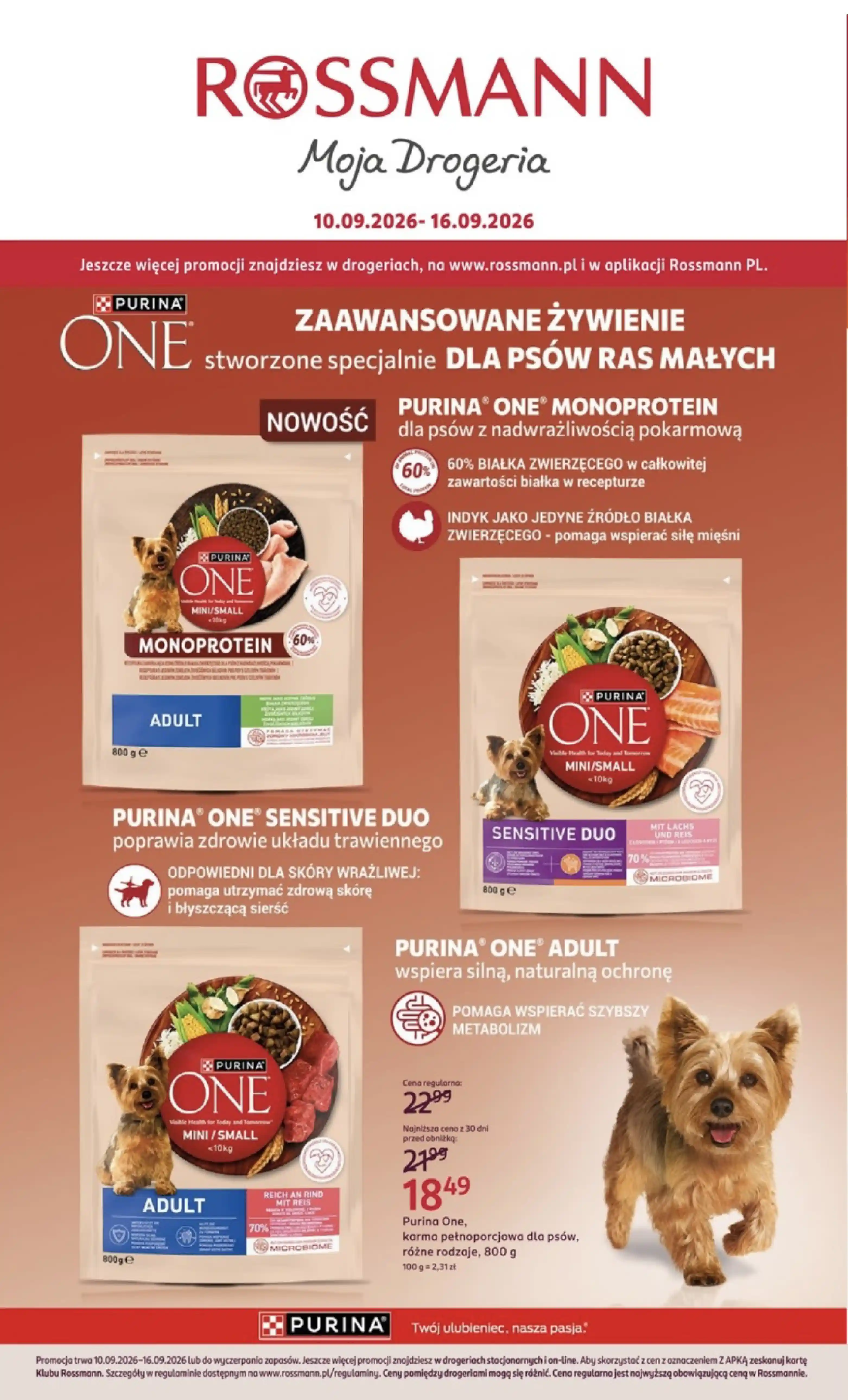 podkład 3