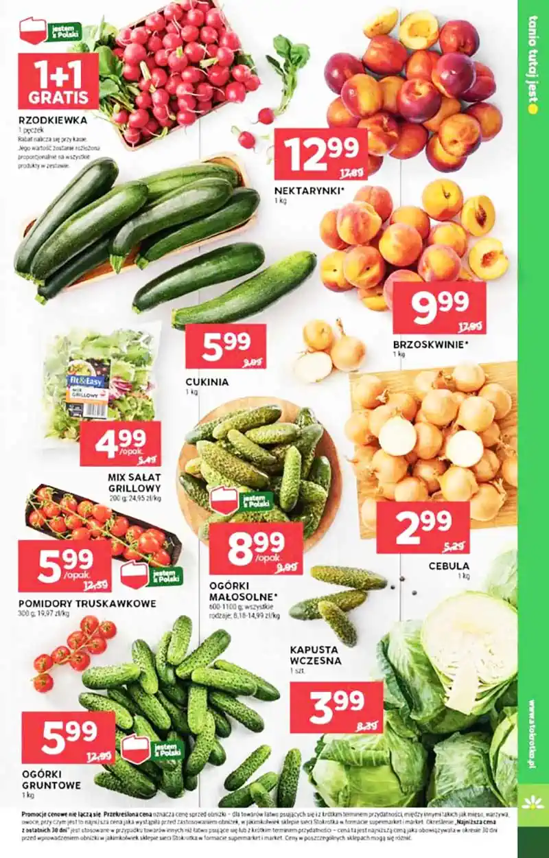 stokrotka gazetka