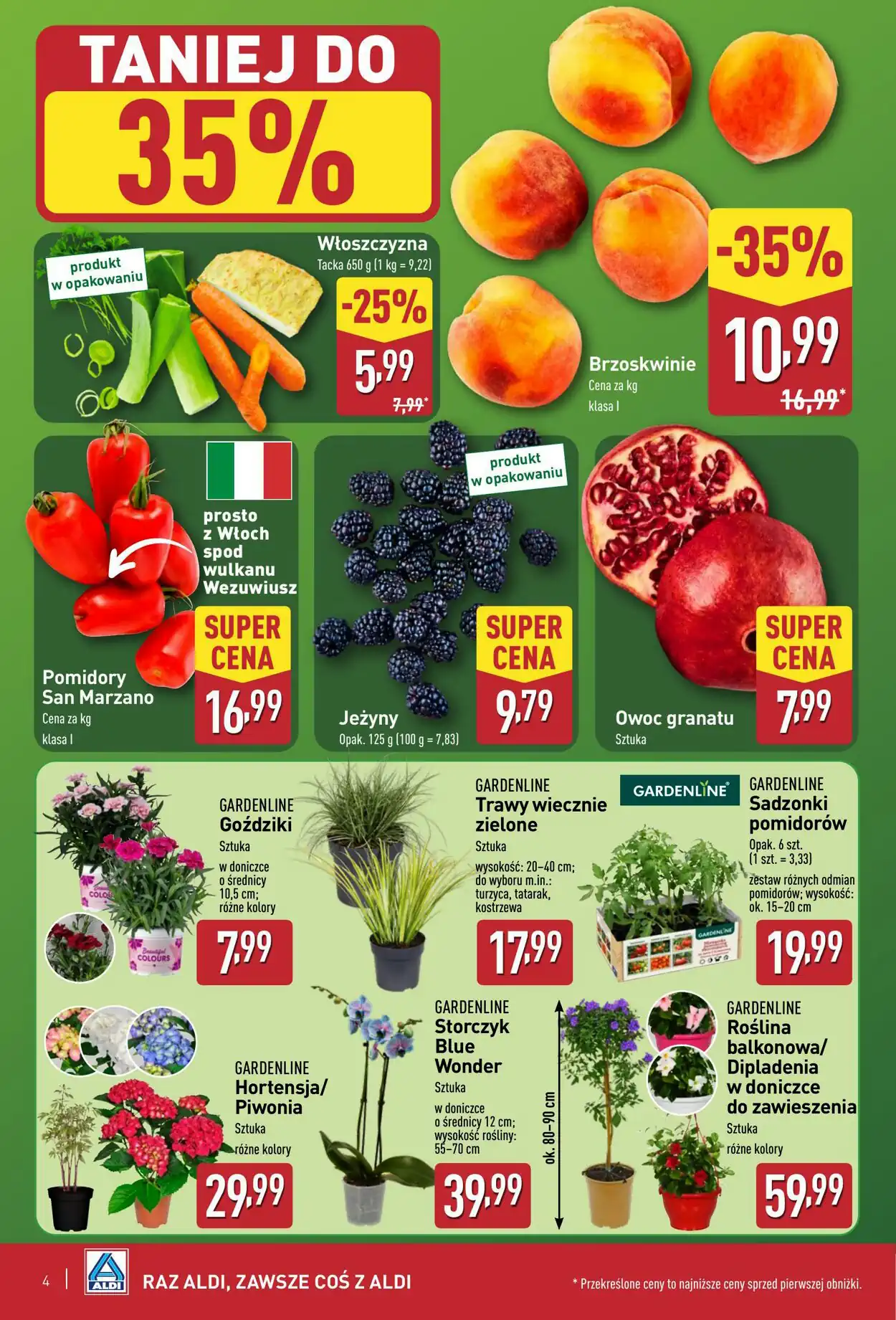 aldi gazetka nowa