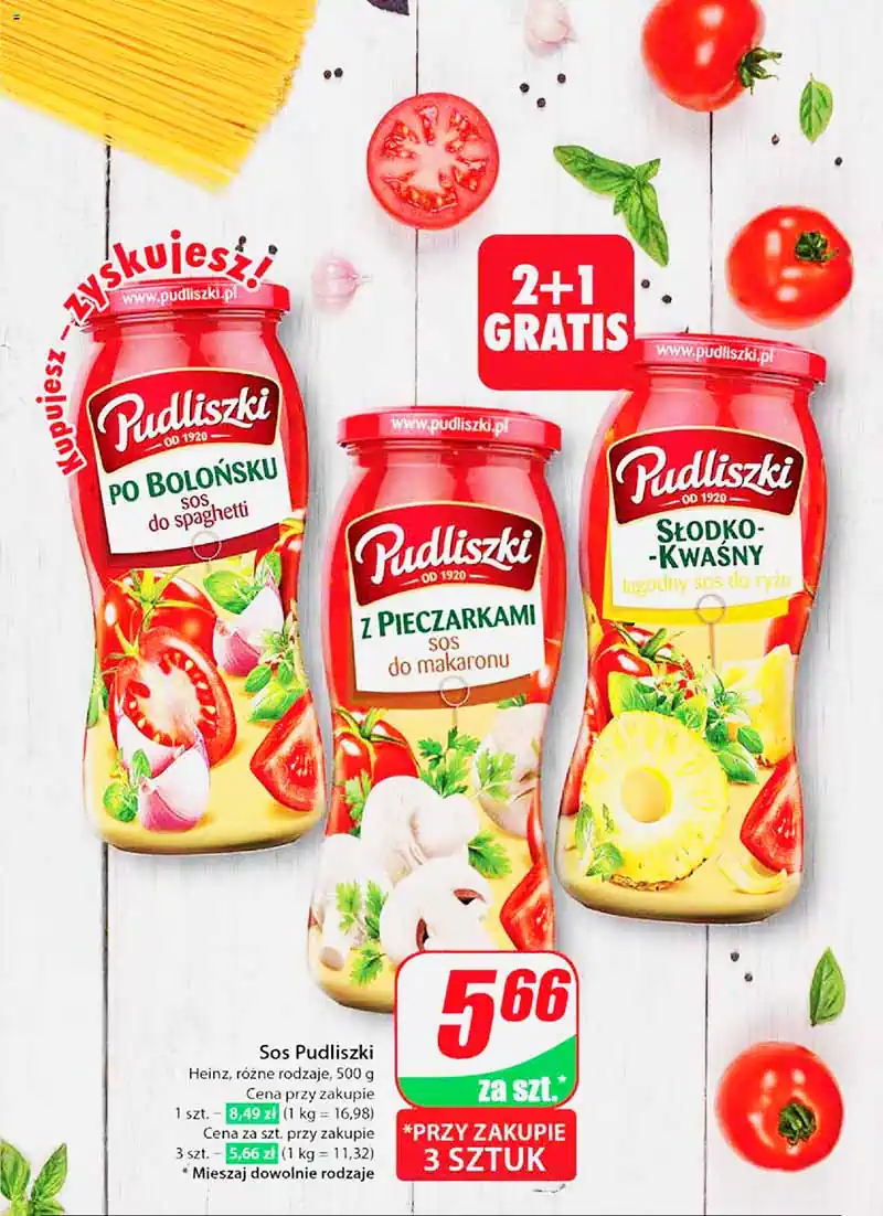dino pl nr27