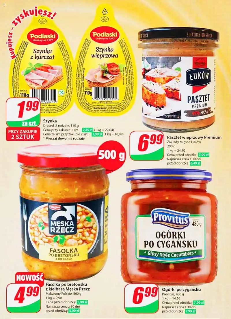 dino pl nr27