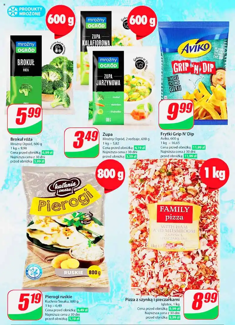 dino pl nr27