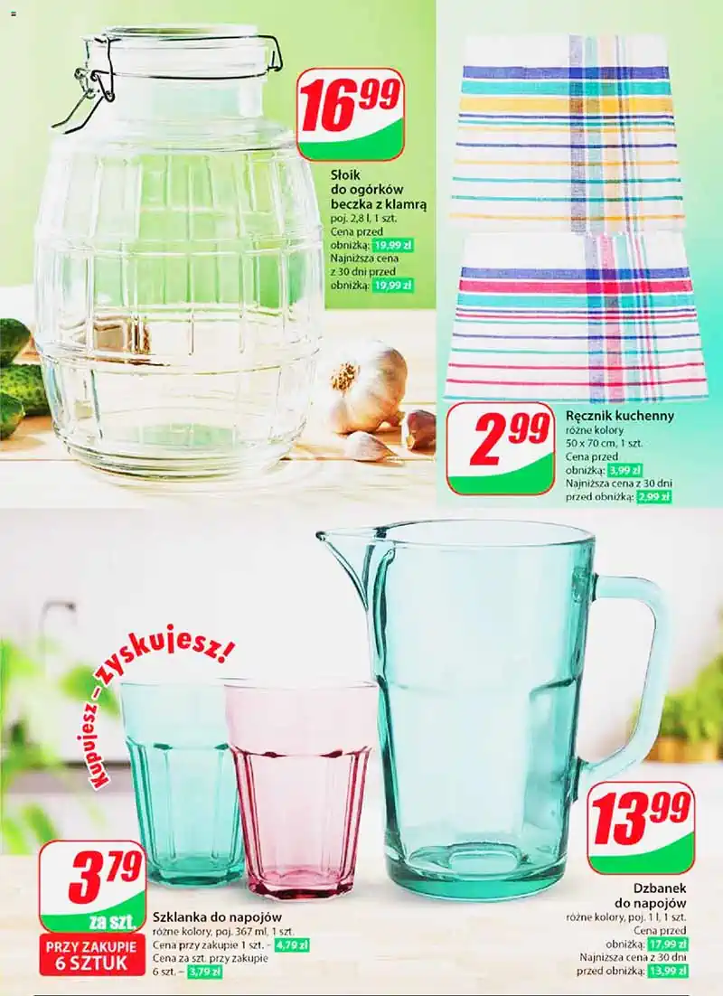 dino pl nr27