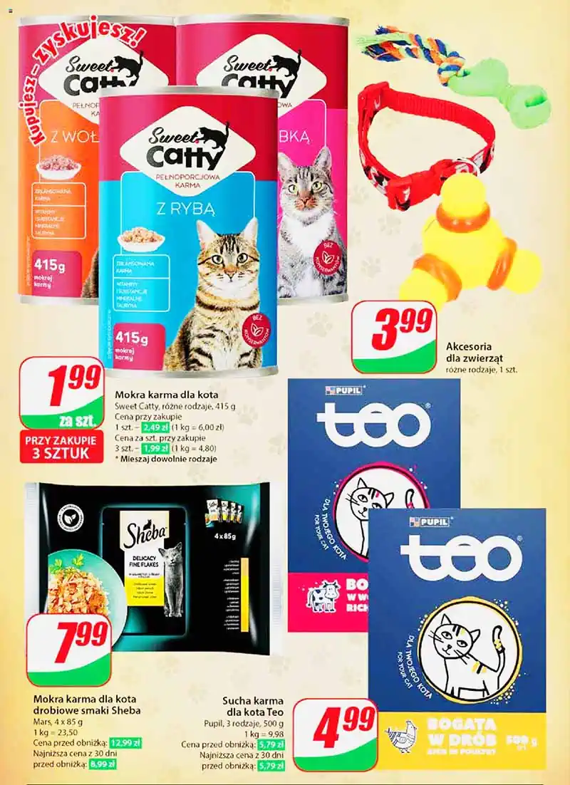 dino pl nr27