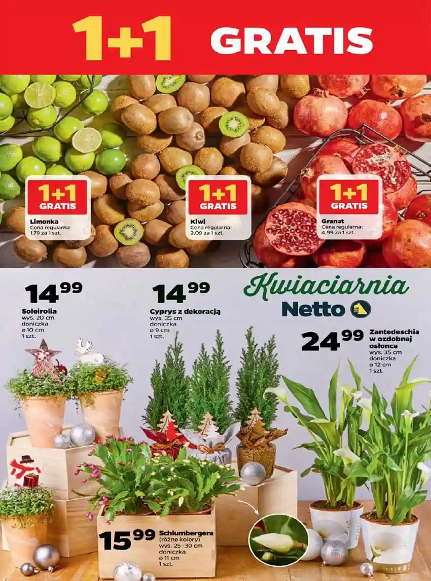 netto super promocje