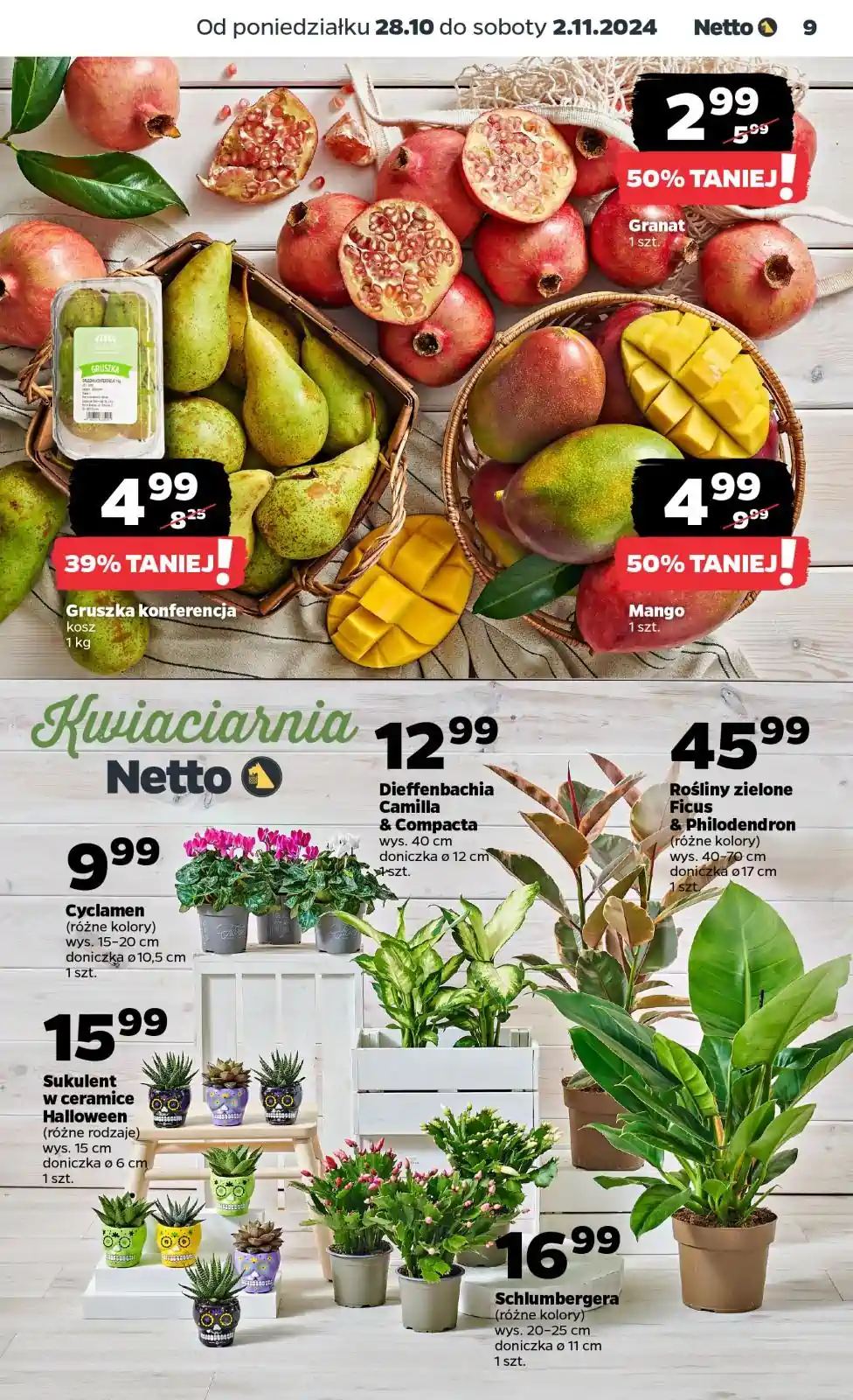 netto28112024