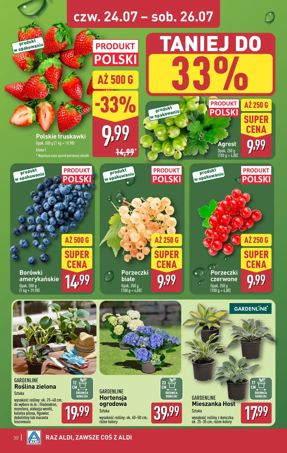 aldi gazetka