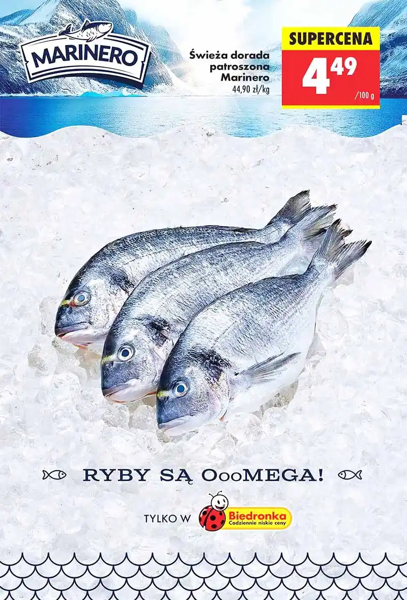 biedronka gazetka